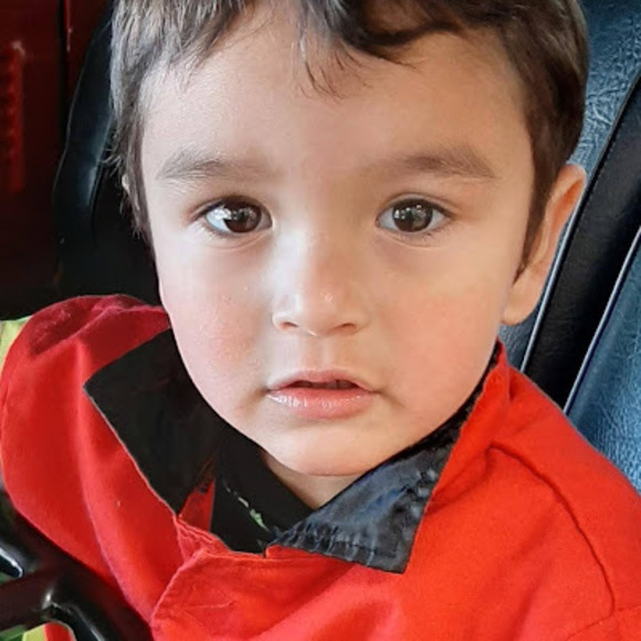 Meet your Posher, Sebastian - Picture 1 of 1